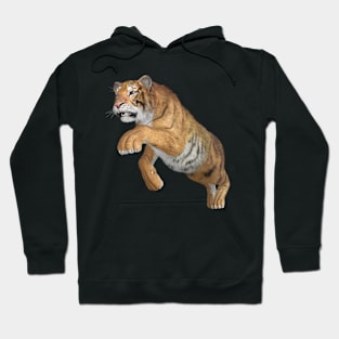 Siberian tiger Hoodie